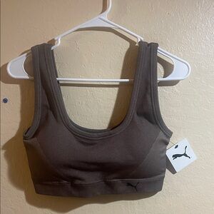 Puma Women's Chocolate Brown Sports Bra